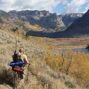 Meet your Posher, Michael